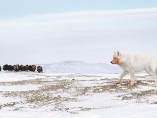 Imagem - Prêmios Fotografia