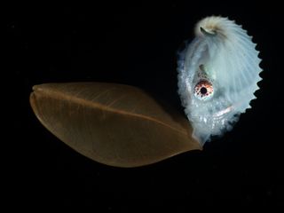 Imagem - Prêmios Fotografia