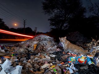 Imagem - Prêmios Fotografia