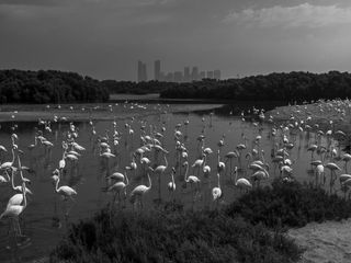 Imagem - Prêmios Fotografia