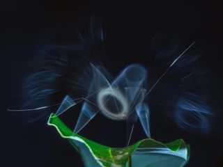 Imagem - Prêmios Fotografia