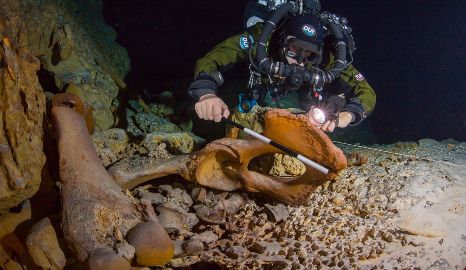 imageCavernas Subaquáticas