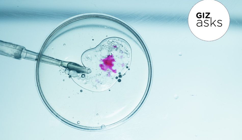 Ética em Edição Genética