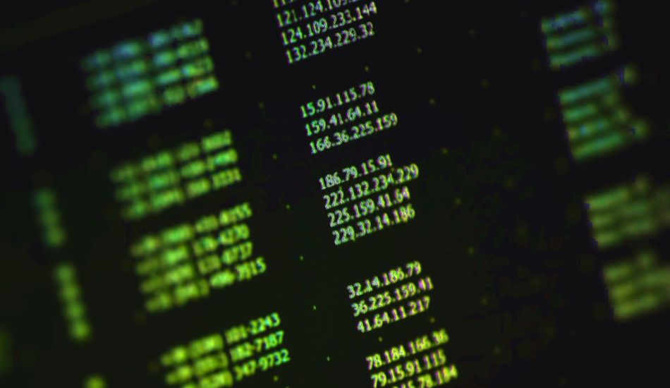 Exposição de IP Leak Zone