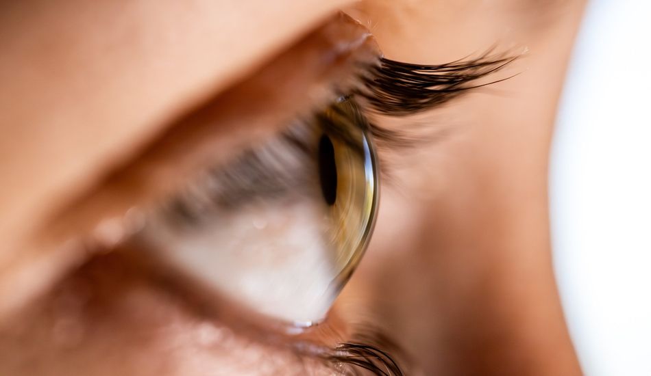 Correção Ocular